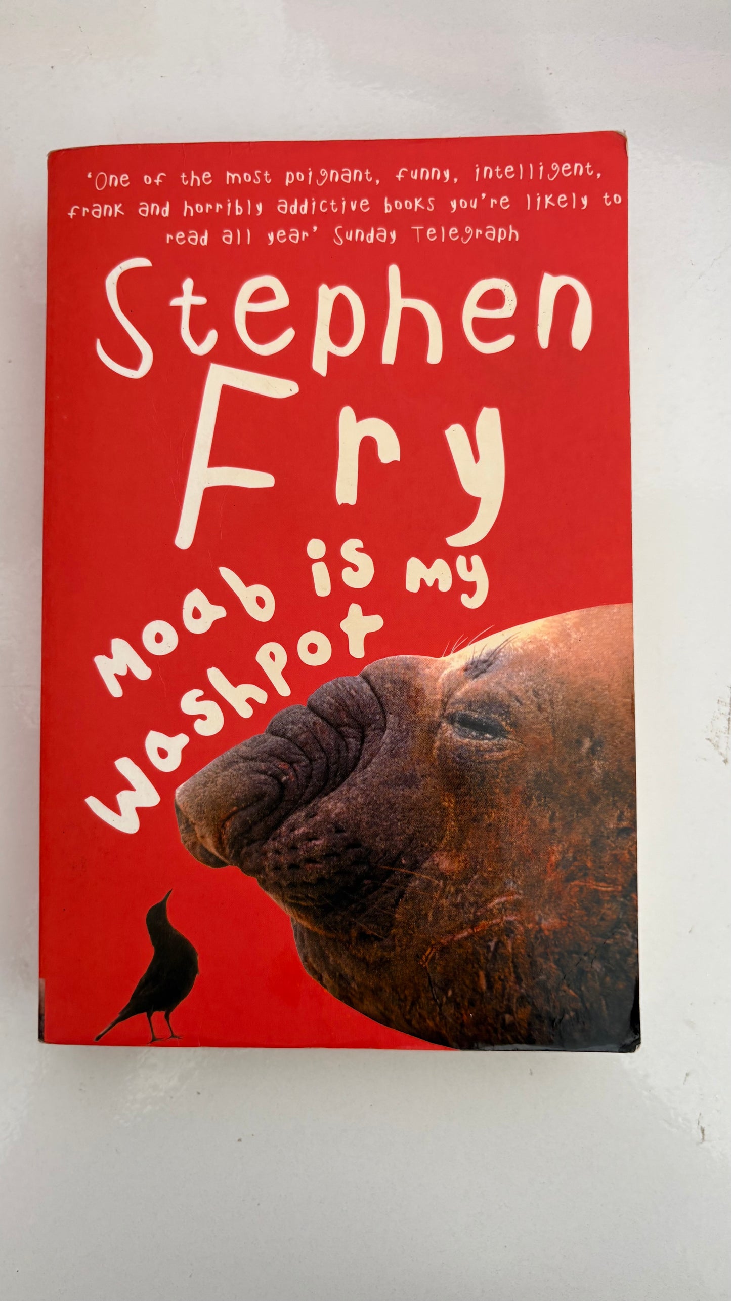 Moab is my washpot by Stephen Fry (Paperback)