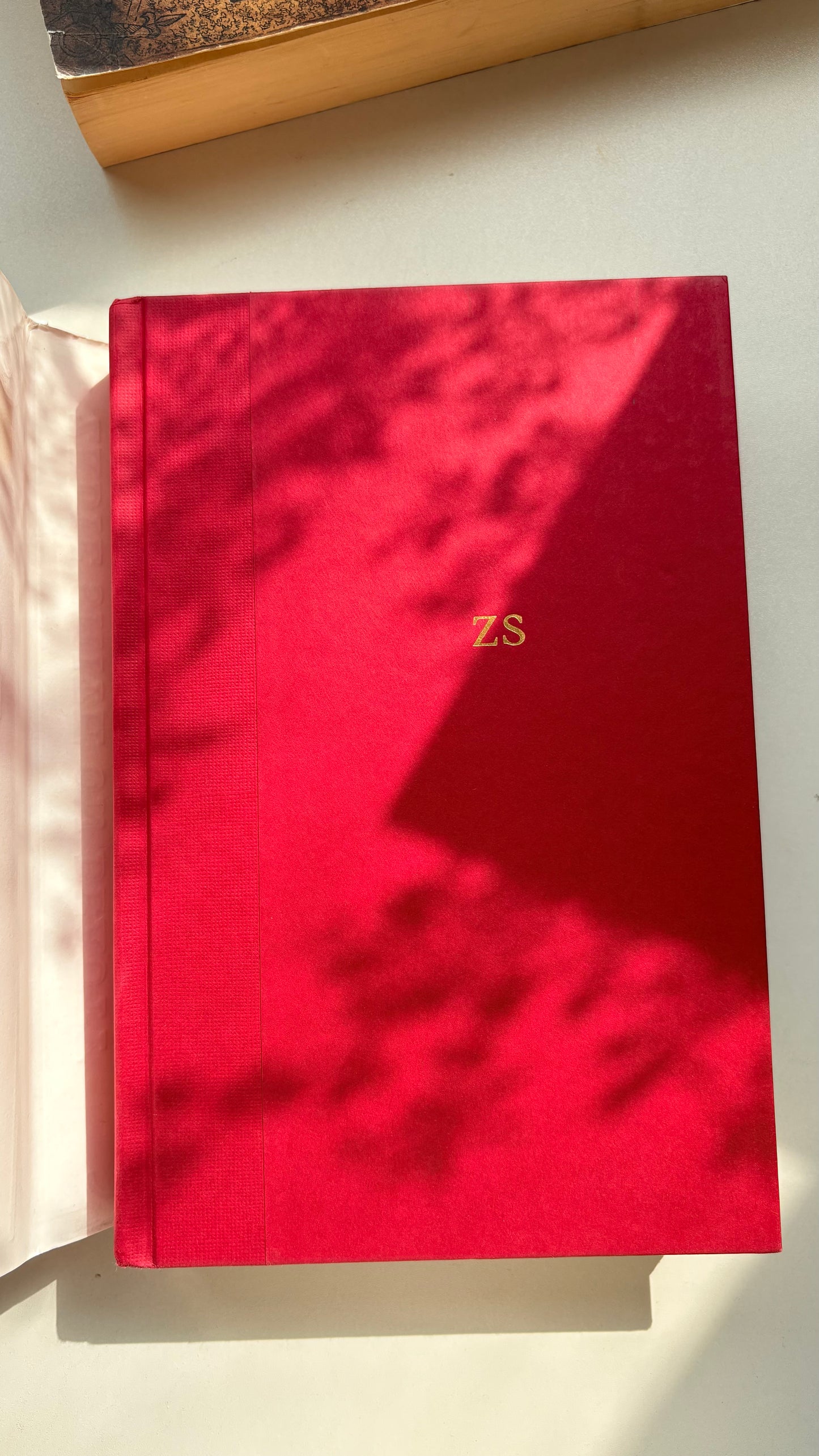 On beauty by Zadie smith (Hardcover)