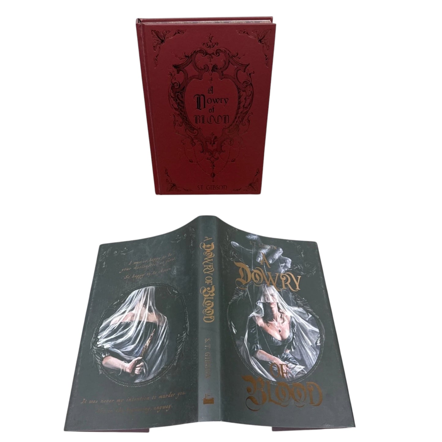 Bookishbox: A dowry of blood by St Gibson (Hardcover)