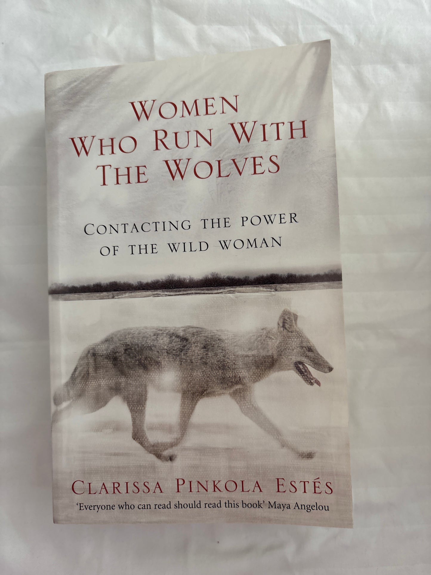 Women who run with the wolves by Clarissa Pinkola Estes (Paperback)