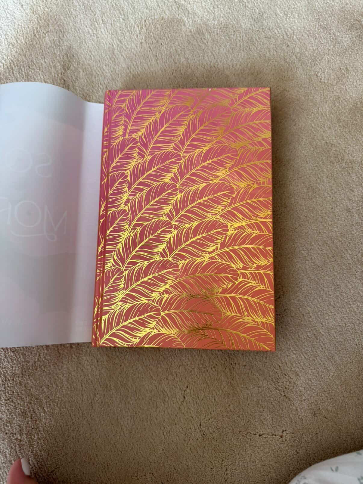 illumicrate: Son of the morning by akwaeke emezi (Hardcover)