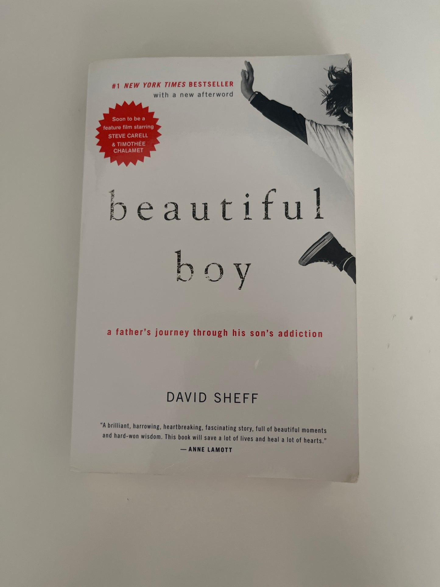 Beautiful Boy by David Sheff (Paperback)