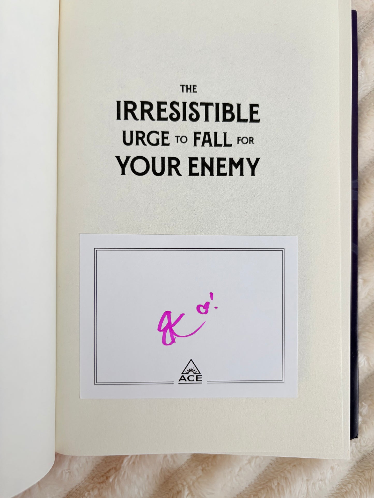 Fox and Wit : The Irresistible Urge To Fall For Your Enemy by Brigitte Knightley (Hardcover)