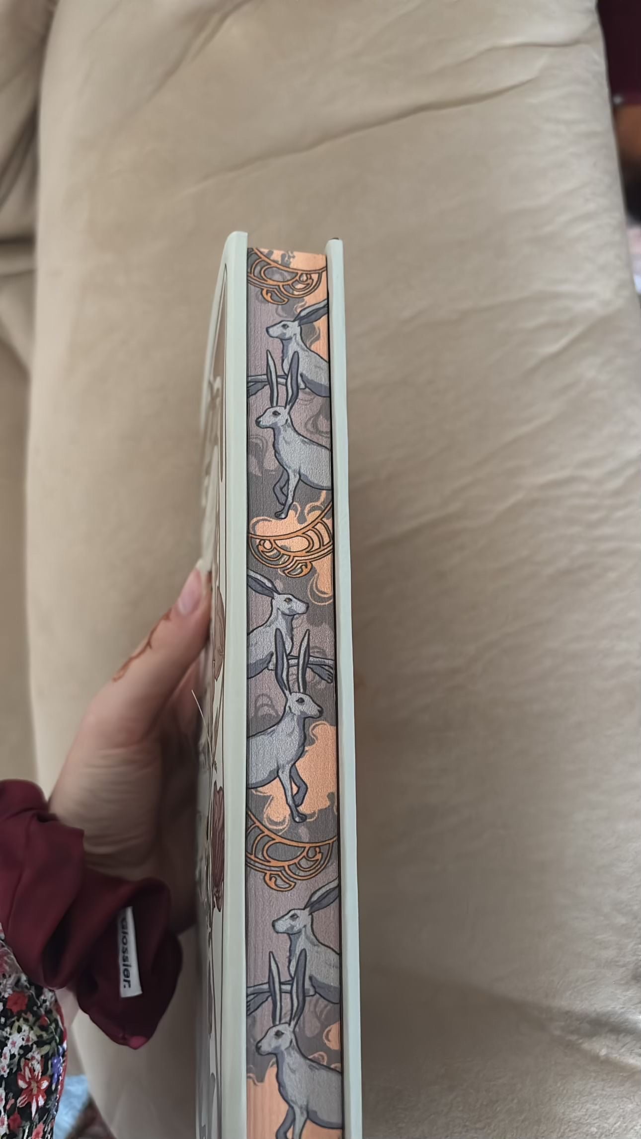 The Bookish Box: The Hallow Plane by Allison Carr (Hardcover)