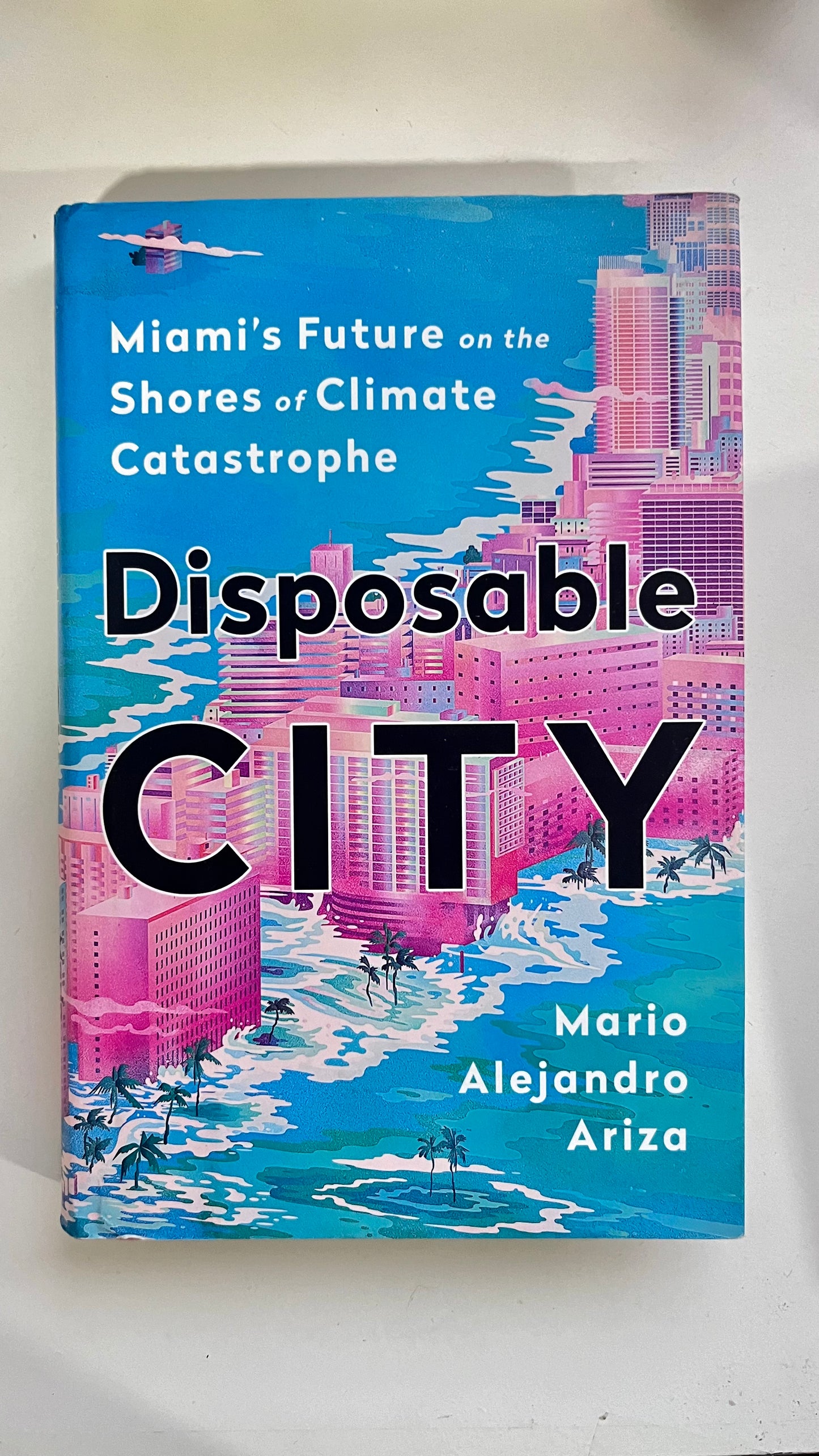 Disposable city by Mario Alejandra (Hardcover)