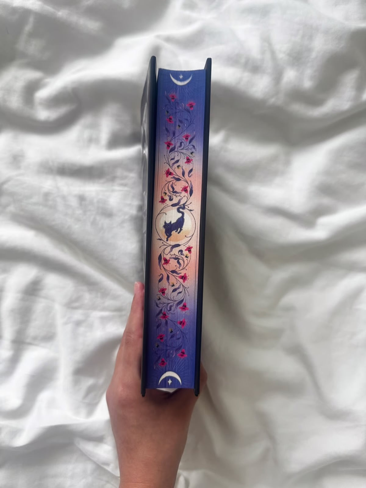 Fairyloot: The Glittering Edge by Alyssa Villaire (Hardcover)