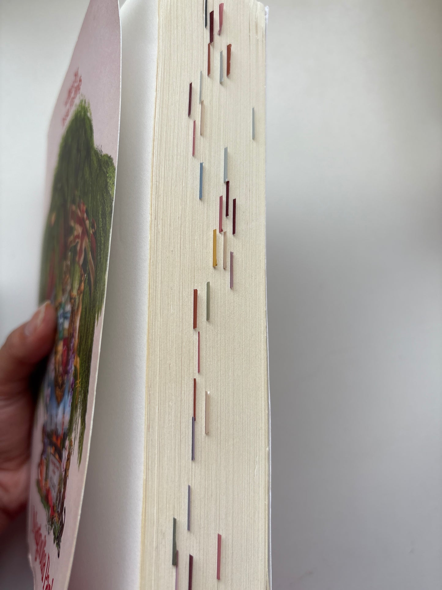 Magnolia Parks By Jessa Hastings (Paperback)