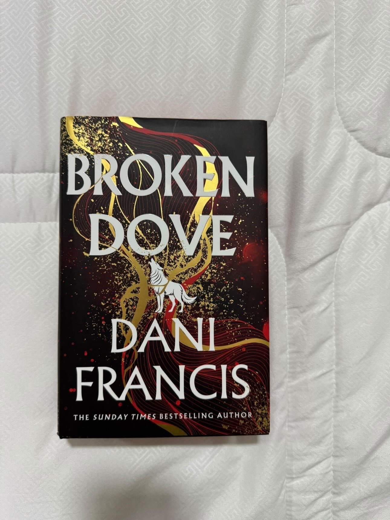 Broken dove by Dani Frances (Hardcover)