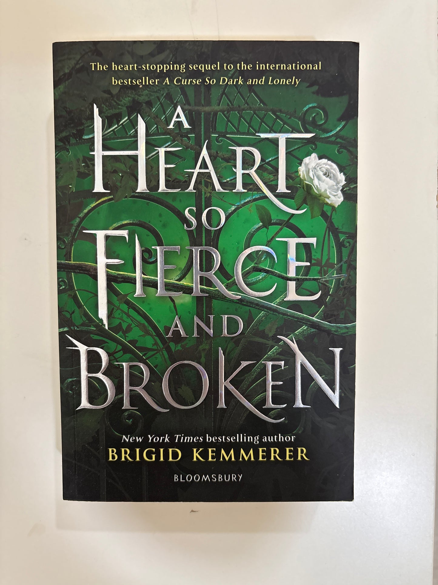 A heart so fierce and broken by Brigid Kemmerer (Paperback)