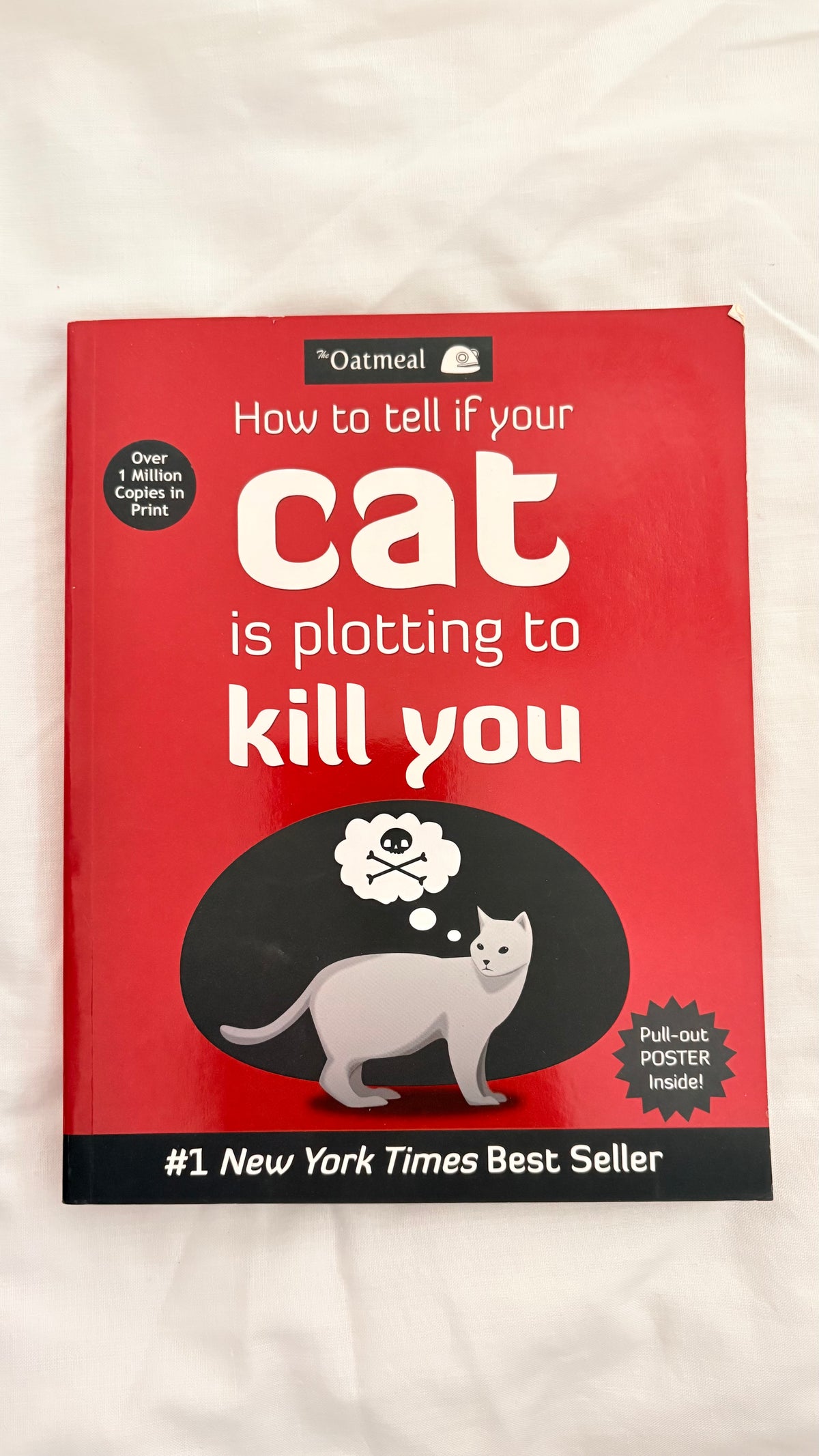 How to tell if your cat is plotting to kill you