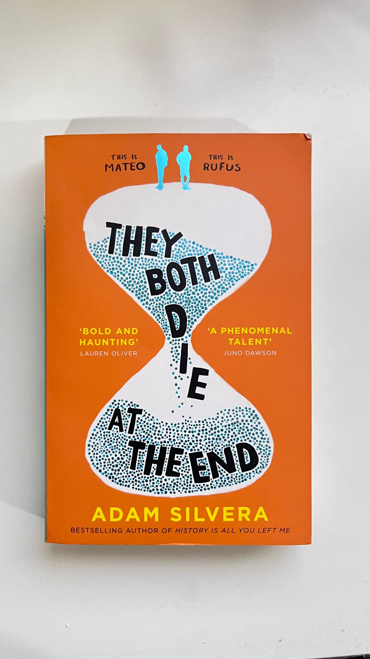 They both did at the end by Adam Silvera (Paperback)