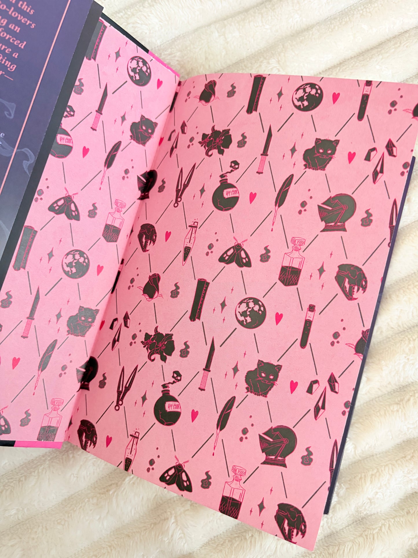 Fox and Wit : The Irresistible Urge To Fall For Your Enemy by Brigitte Knightley (Hardcover)