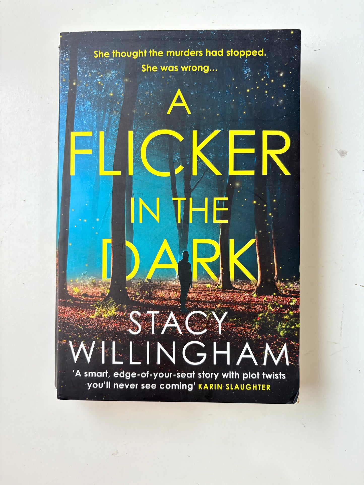 A Flicker In The Dark By Stacy Willingham (Paperback)