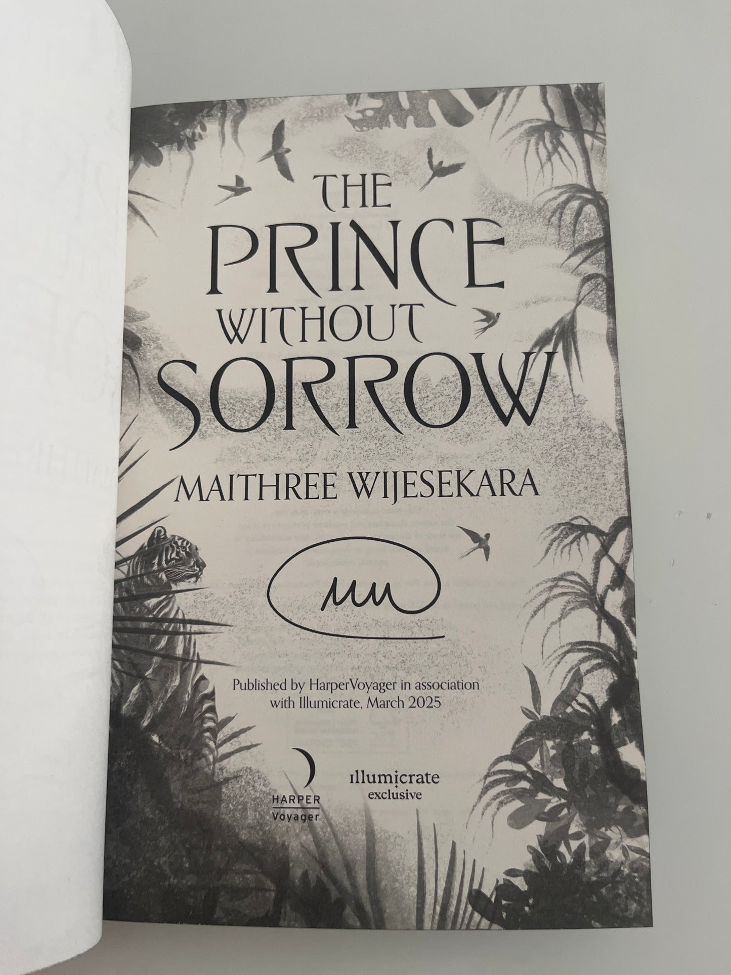 Illumicrate: The Prince Without Sorrow by Maithree Wijesekara (Hardcover)
