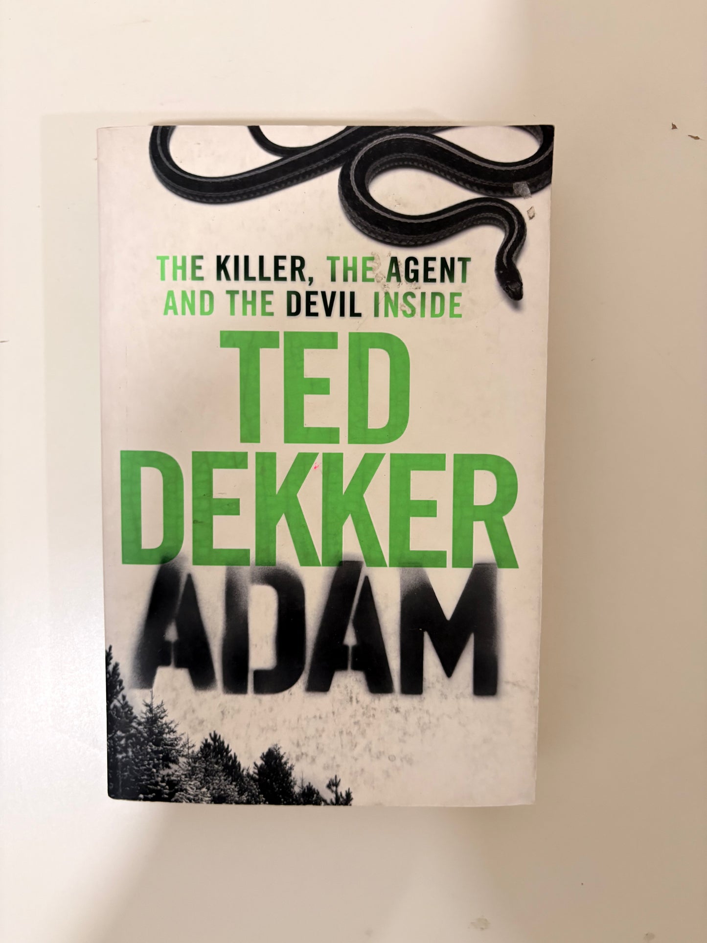 Adam By Ted Dekker (Paperback)