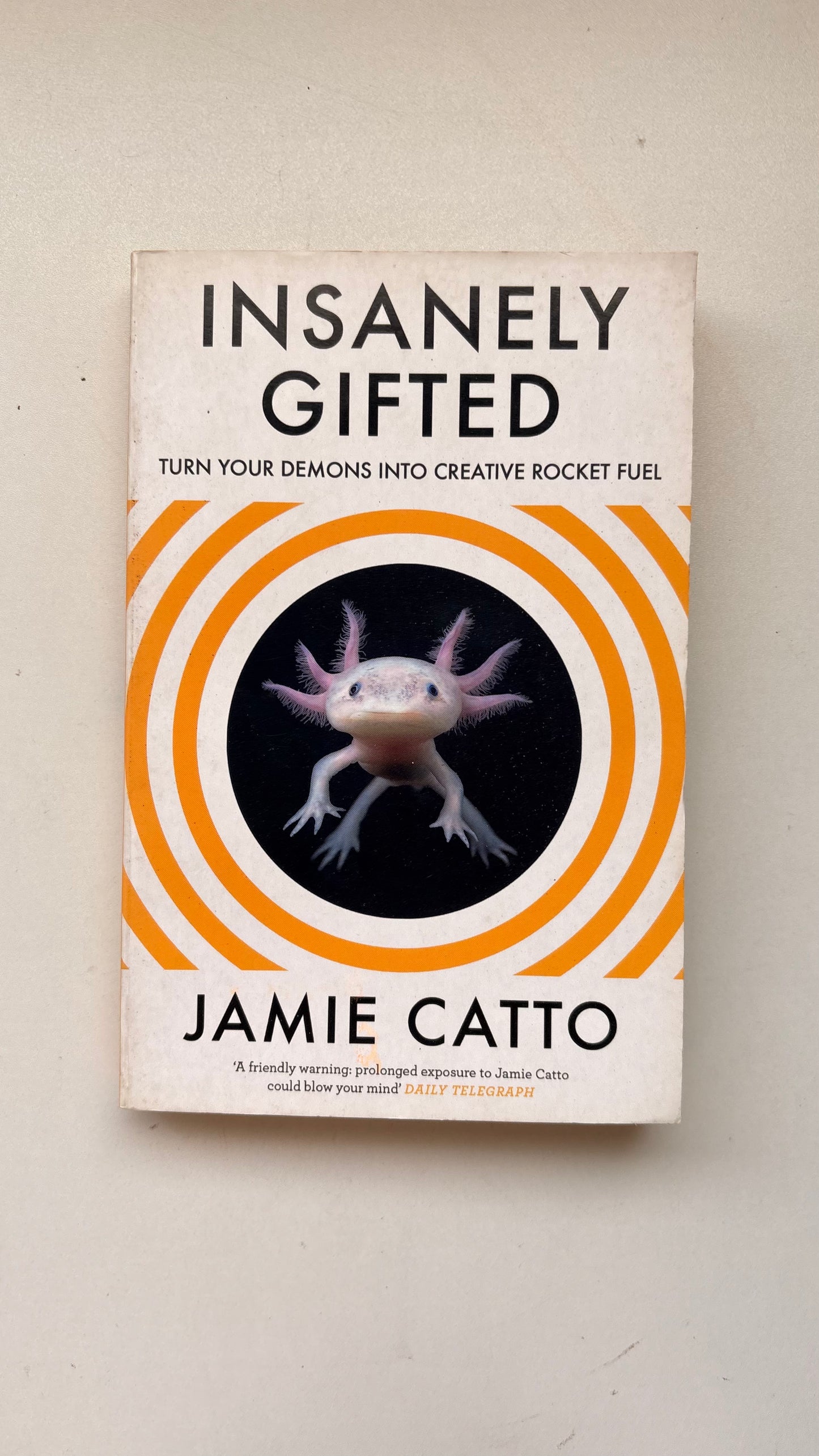Insanely gifted by Jamie Catto (Paperback)