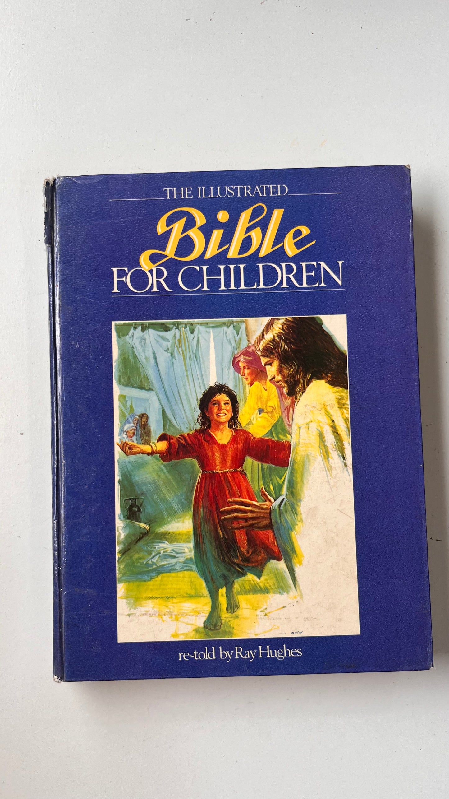 Illustrated Bible For Children (Hardcover)