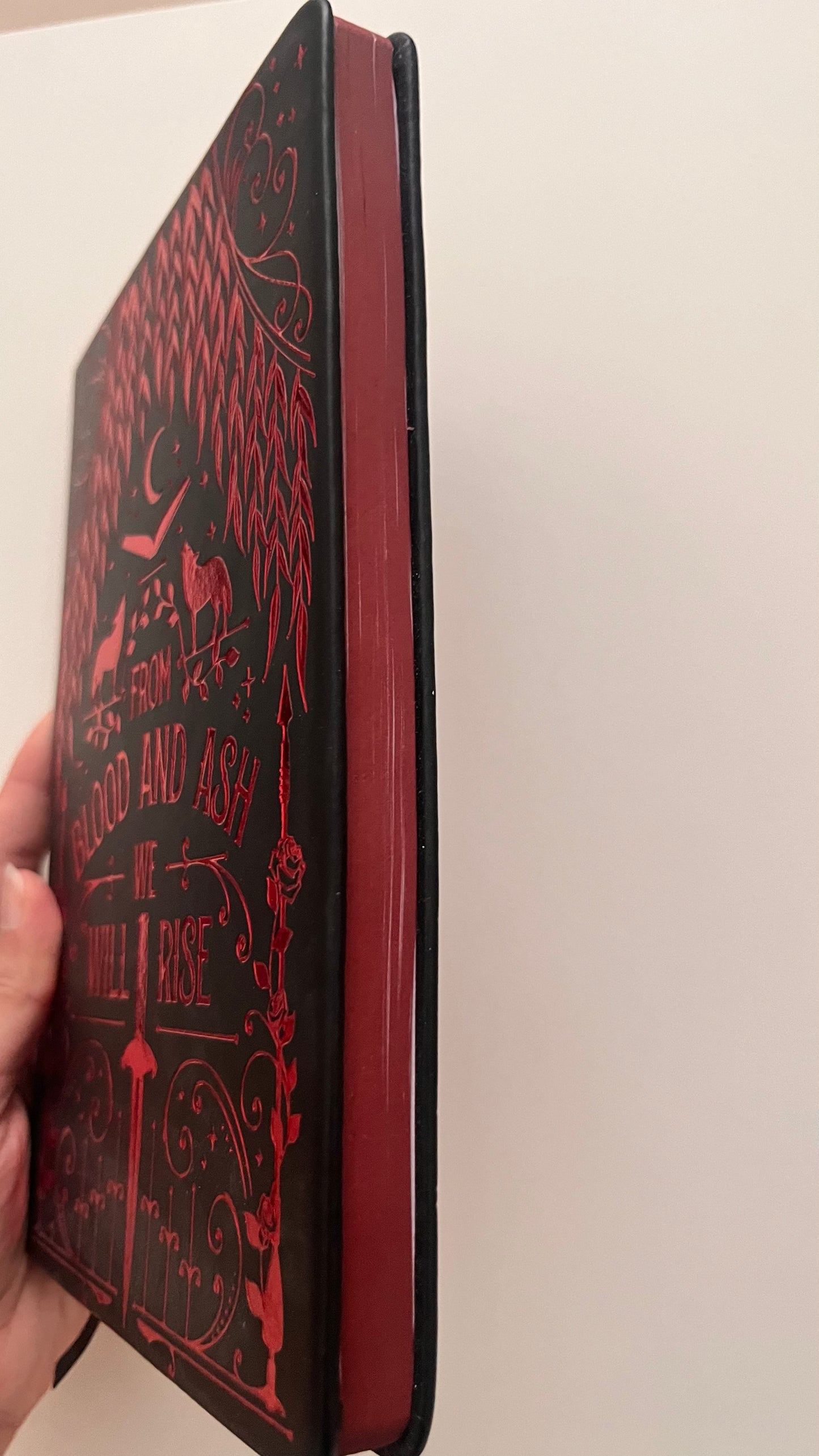 From Blood And Ash Reading Journals