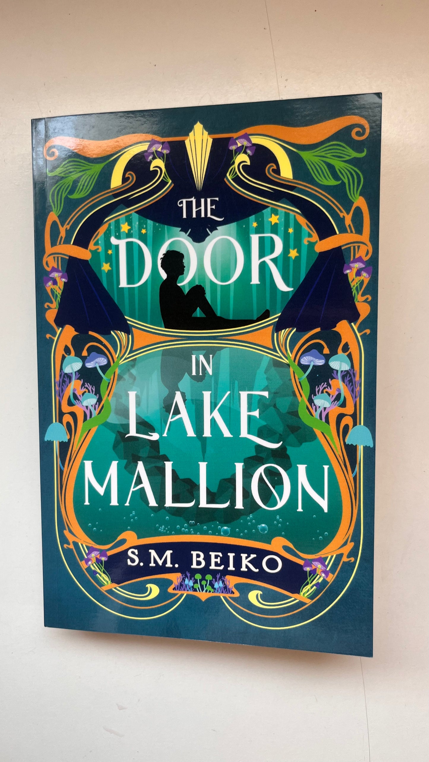 The Door In Lake Mallon By S.M. Beiko (Paperback)