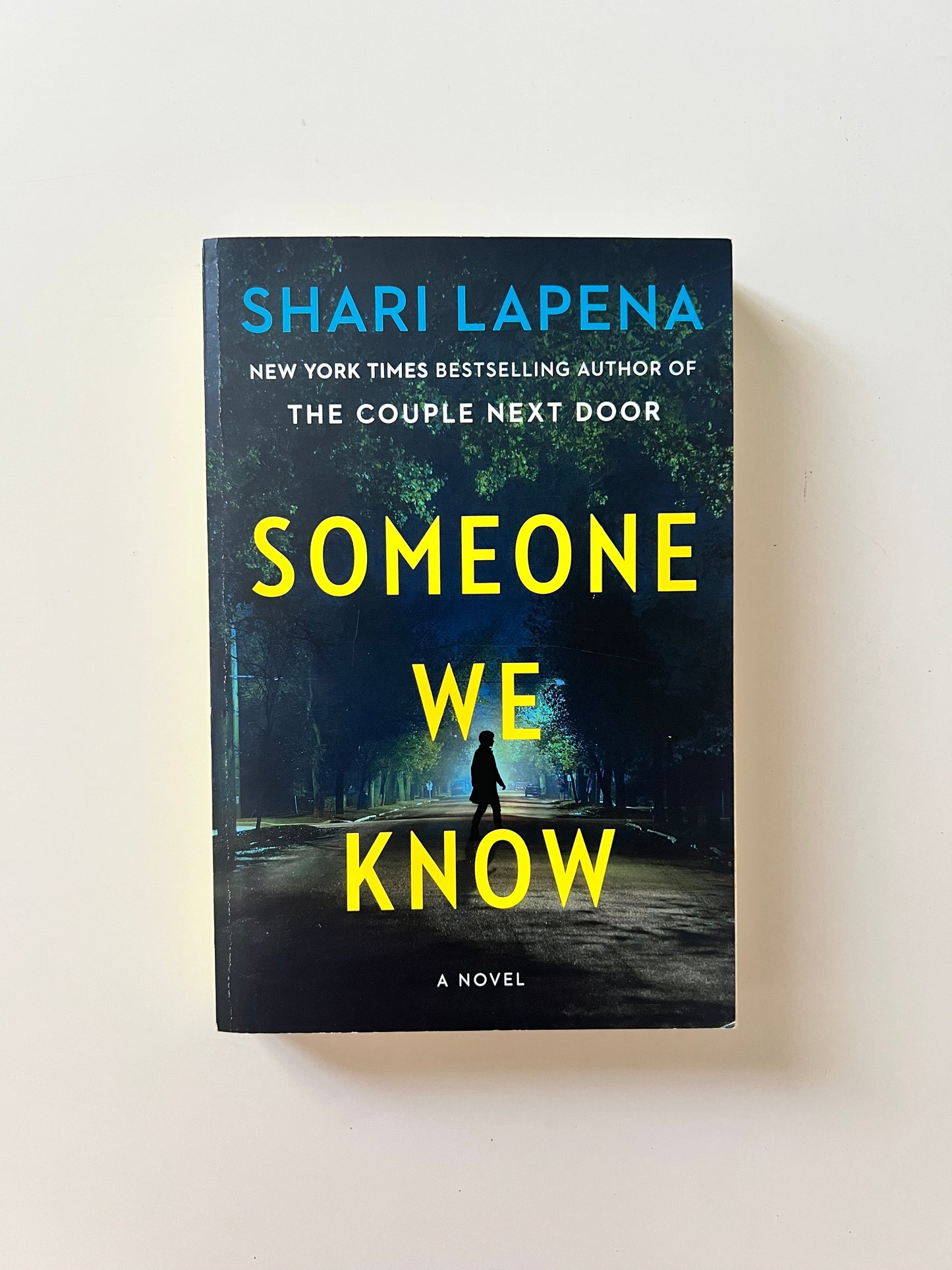 Someone We Know by Shari Lapena