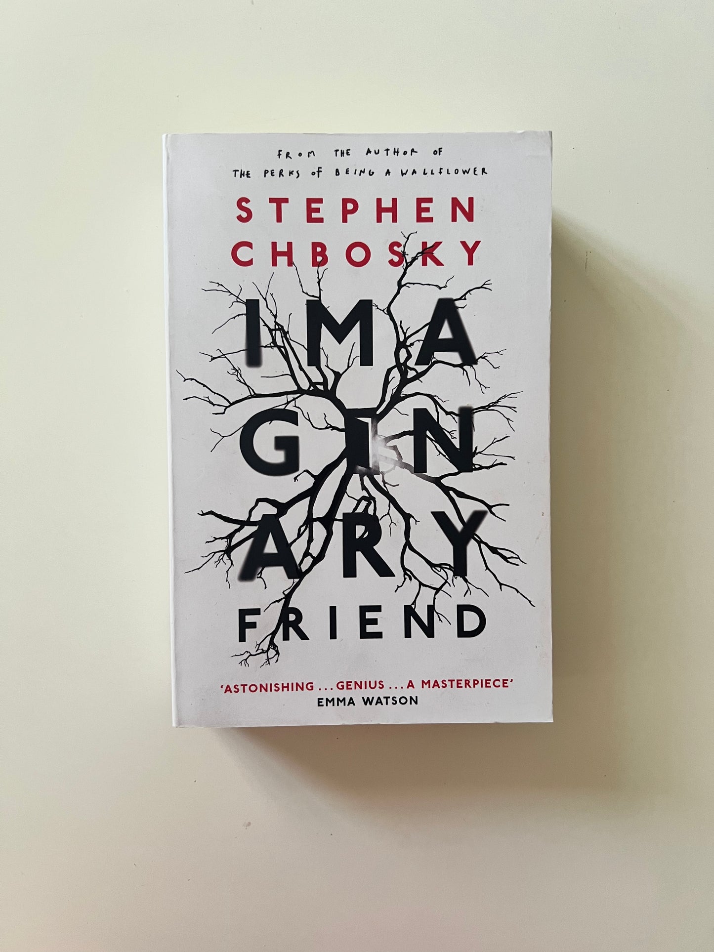 Imaginary by Stephen Chbosky