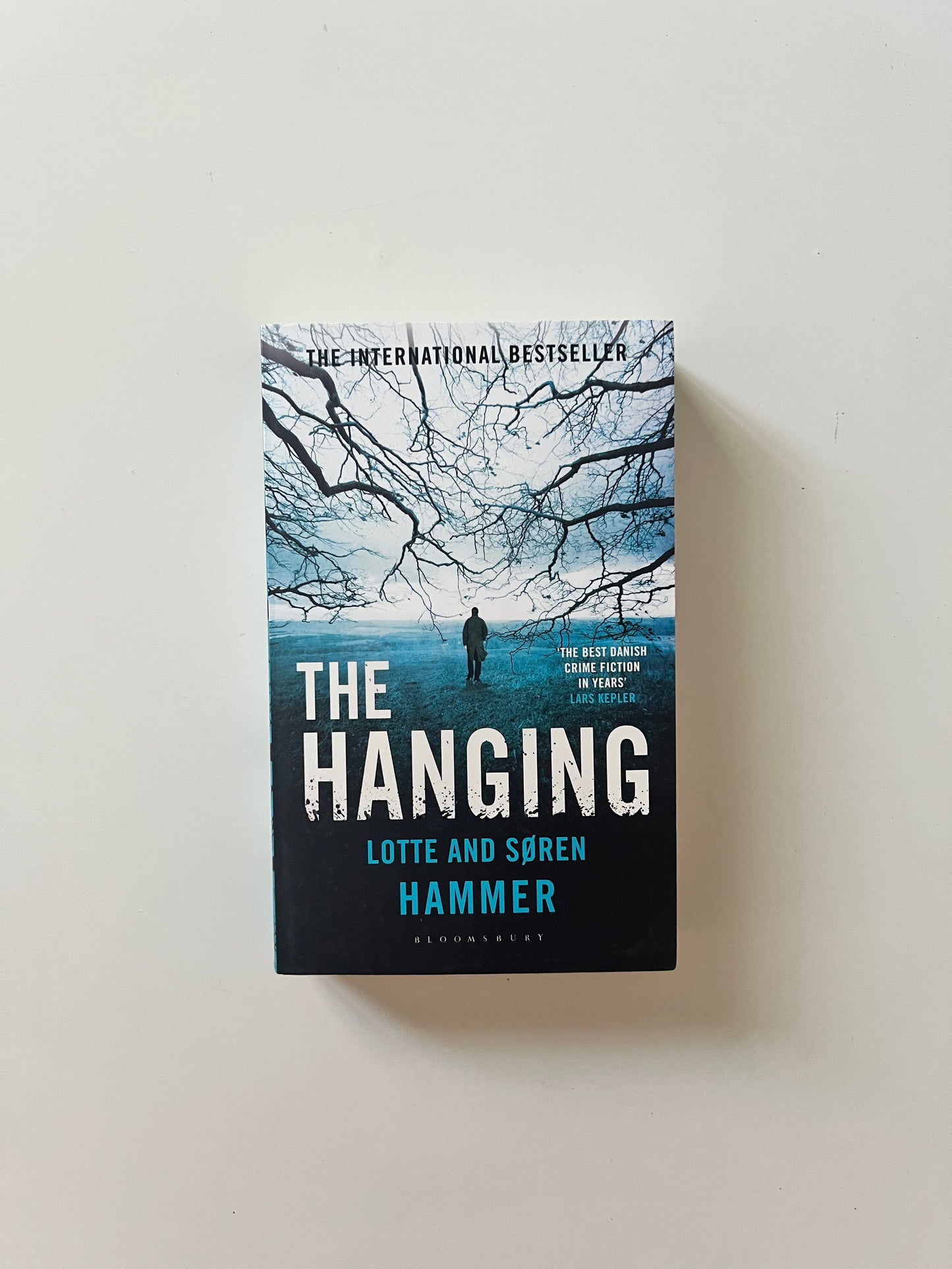 The Hanging by Lotte and Soren Hammer