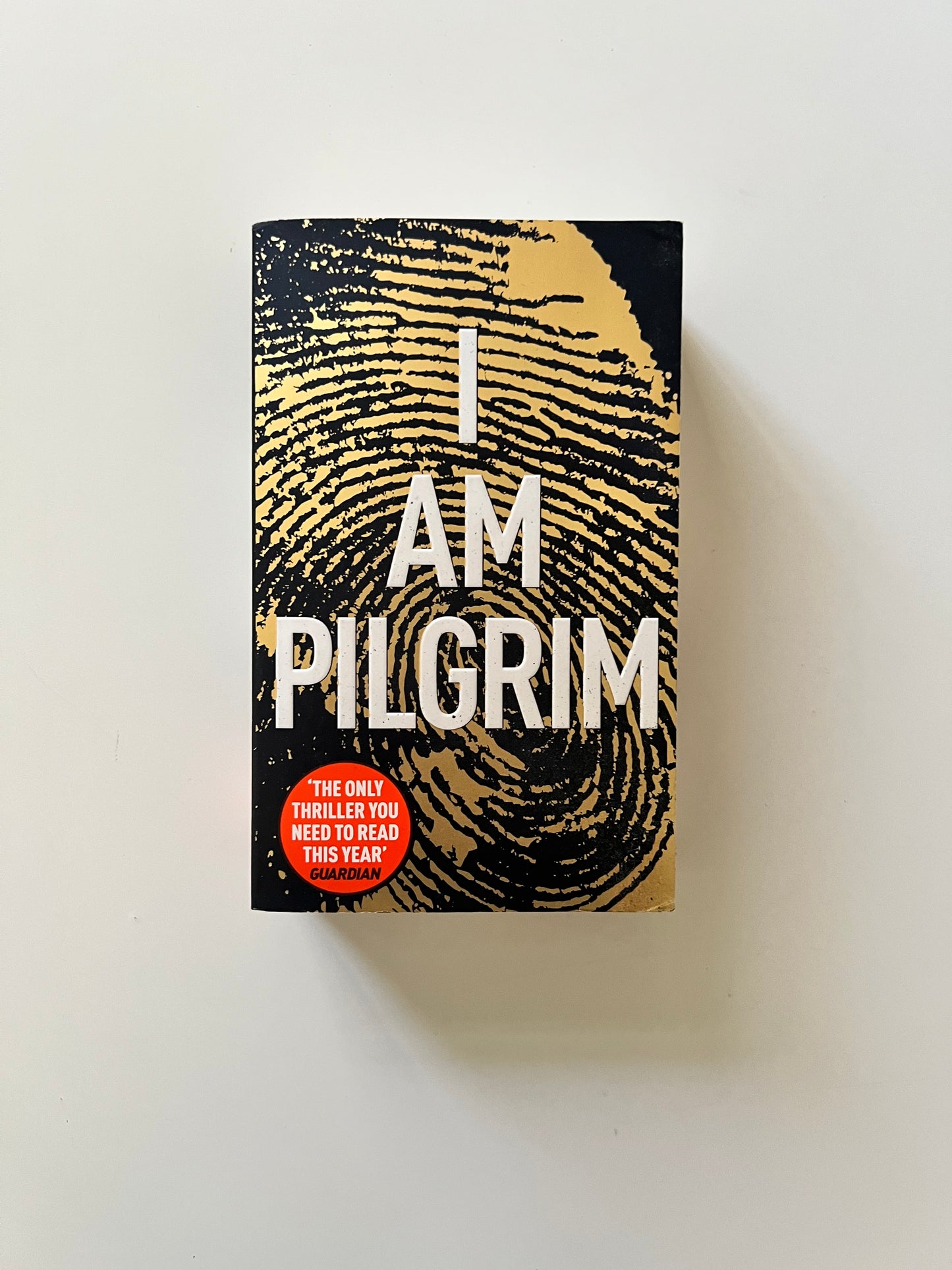 I Am Pilgrim by Terry Hayes (Paperback)