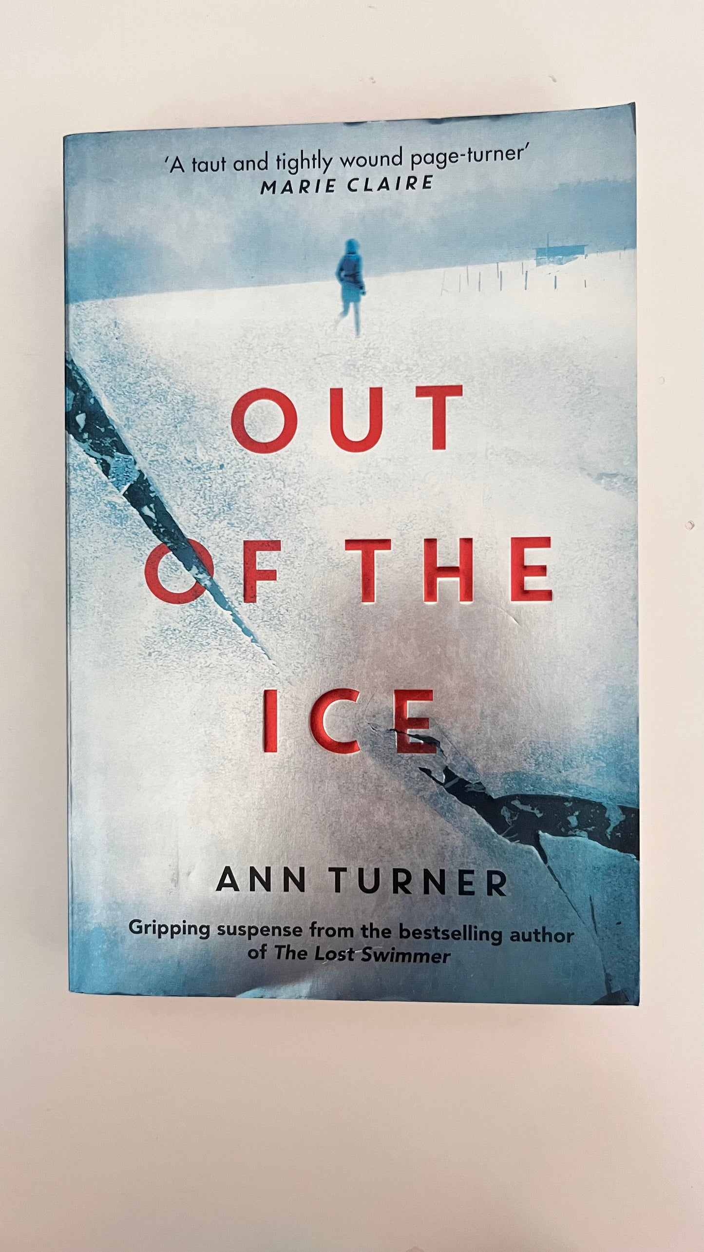 Hardcover of Out of Ice by Ann Turner, featuring a gripping and chilling cover design.