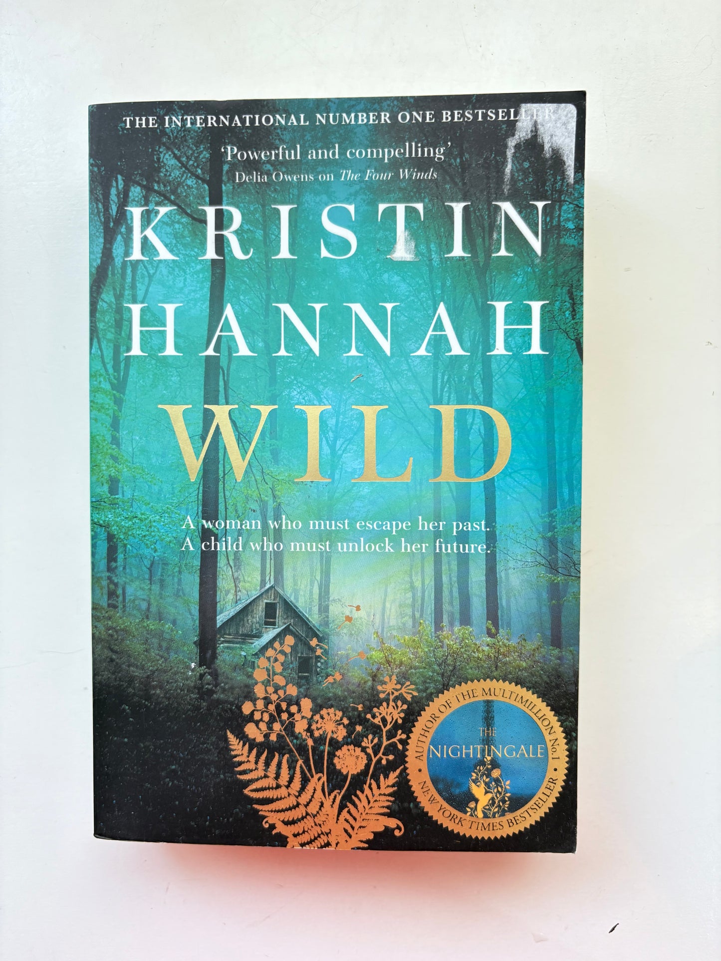 Book titled 'Wild' by Kristin Hannah with a blue and green cover on a white background