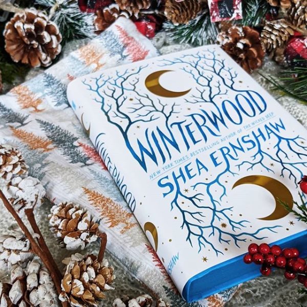 Winterwood – A wintry witch tale of ghosts and forgotten spells.