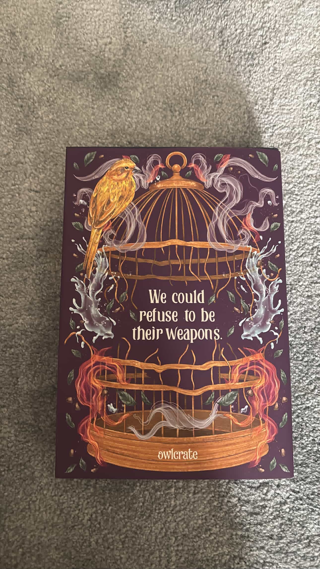 Owlcrate: A Forbidden Alchemy By Stacey McEwan (Hardcover)