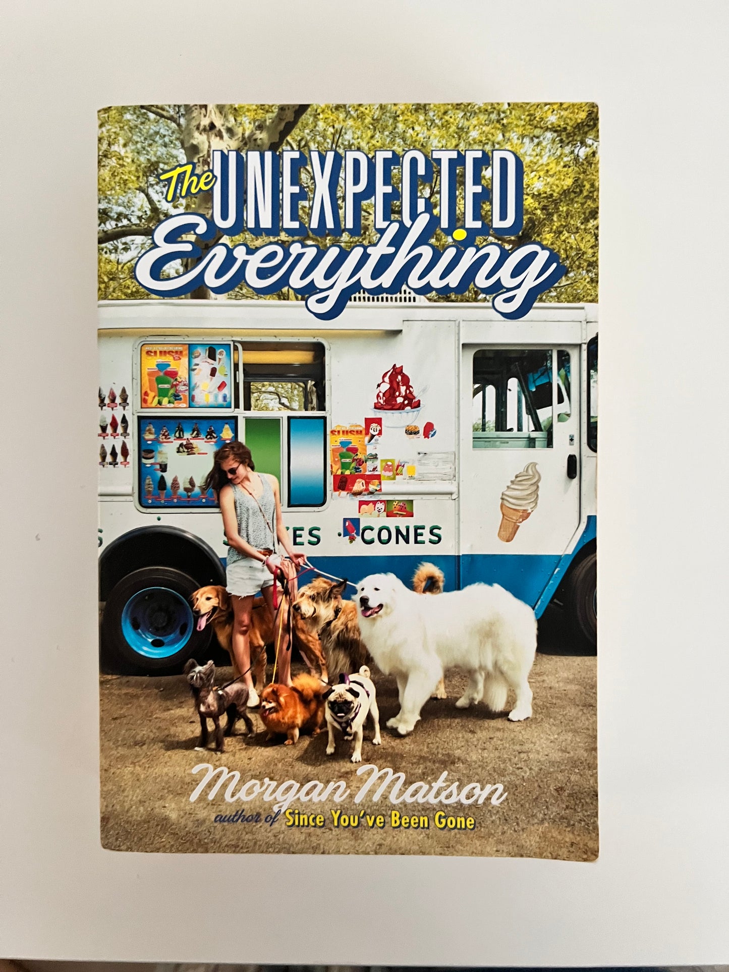 Unexpected Everything by Morgan Matson (Paperback)