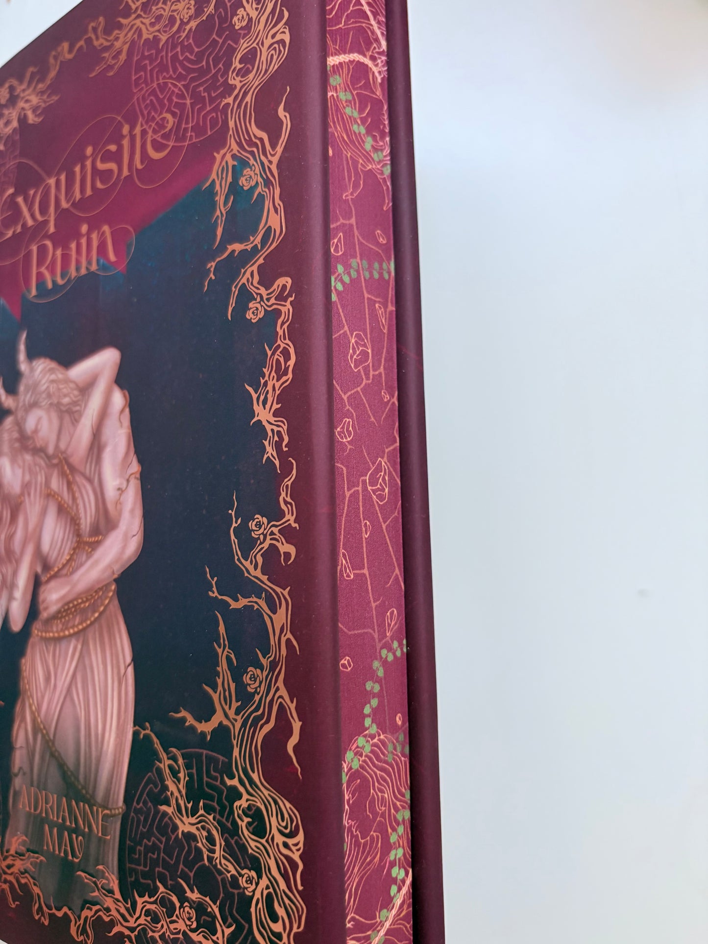 Owlcrate: Exquisite Ruin by Adrianne May (Hardcover)