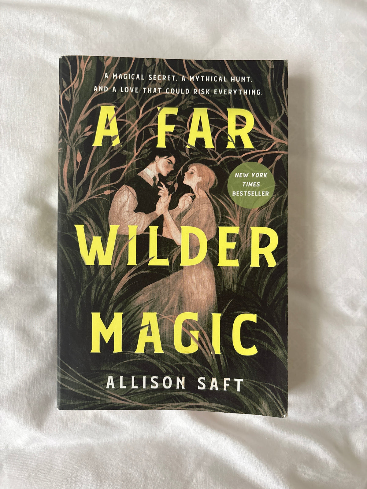 A far wilder magic by Allison Saft (Paperback)