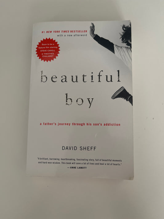 Beautiful Boy by David Sheff (Paperback)