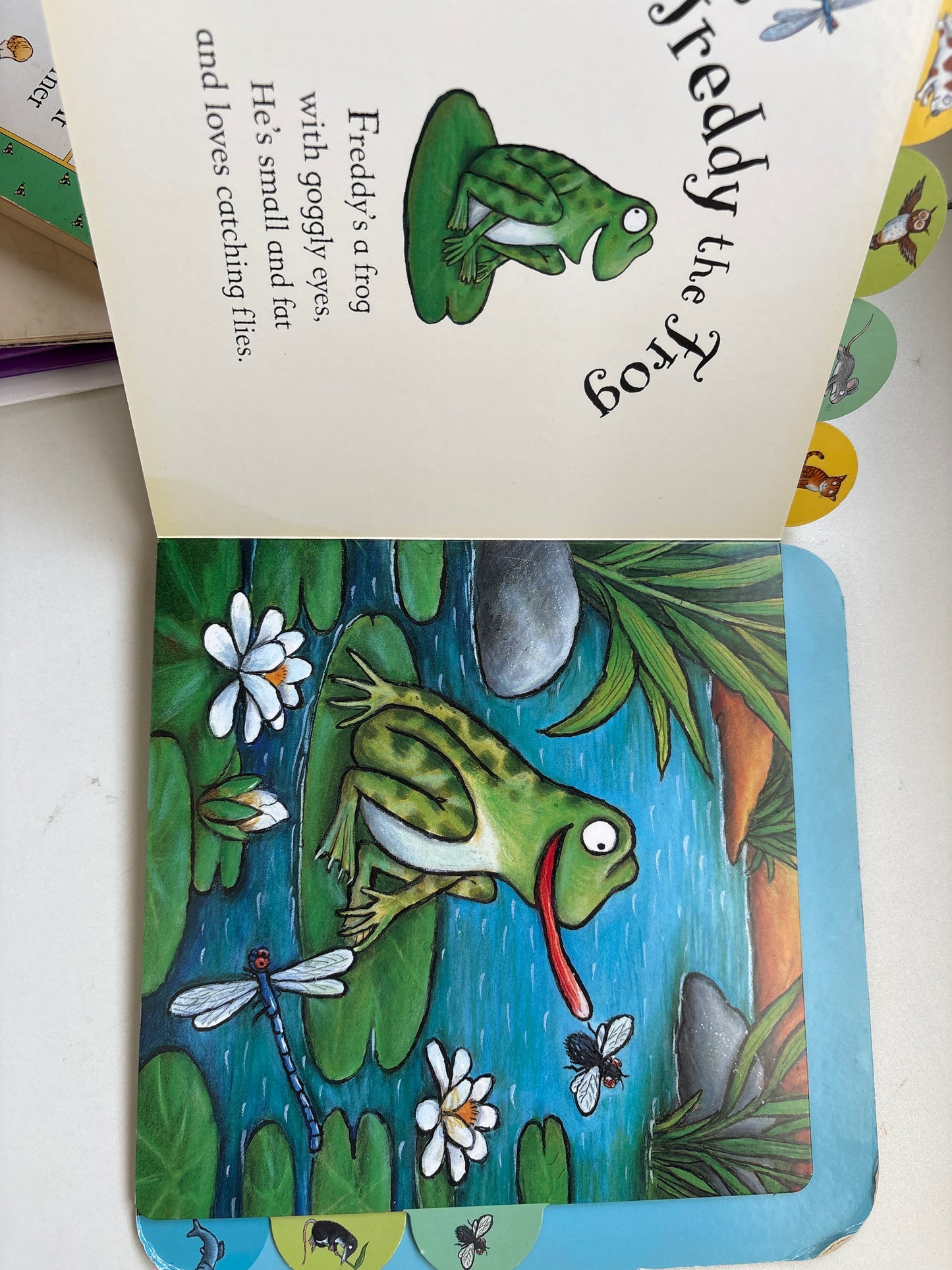 Treasury of rhyming stories by Axel Scheffler (hardback)