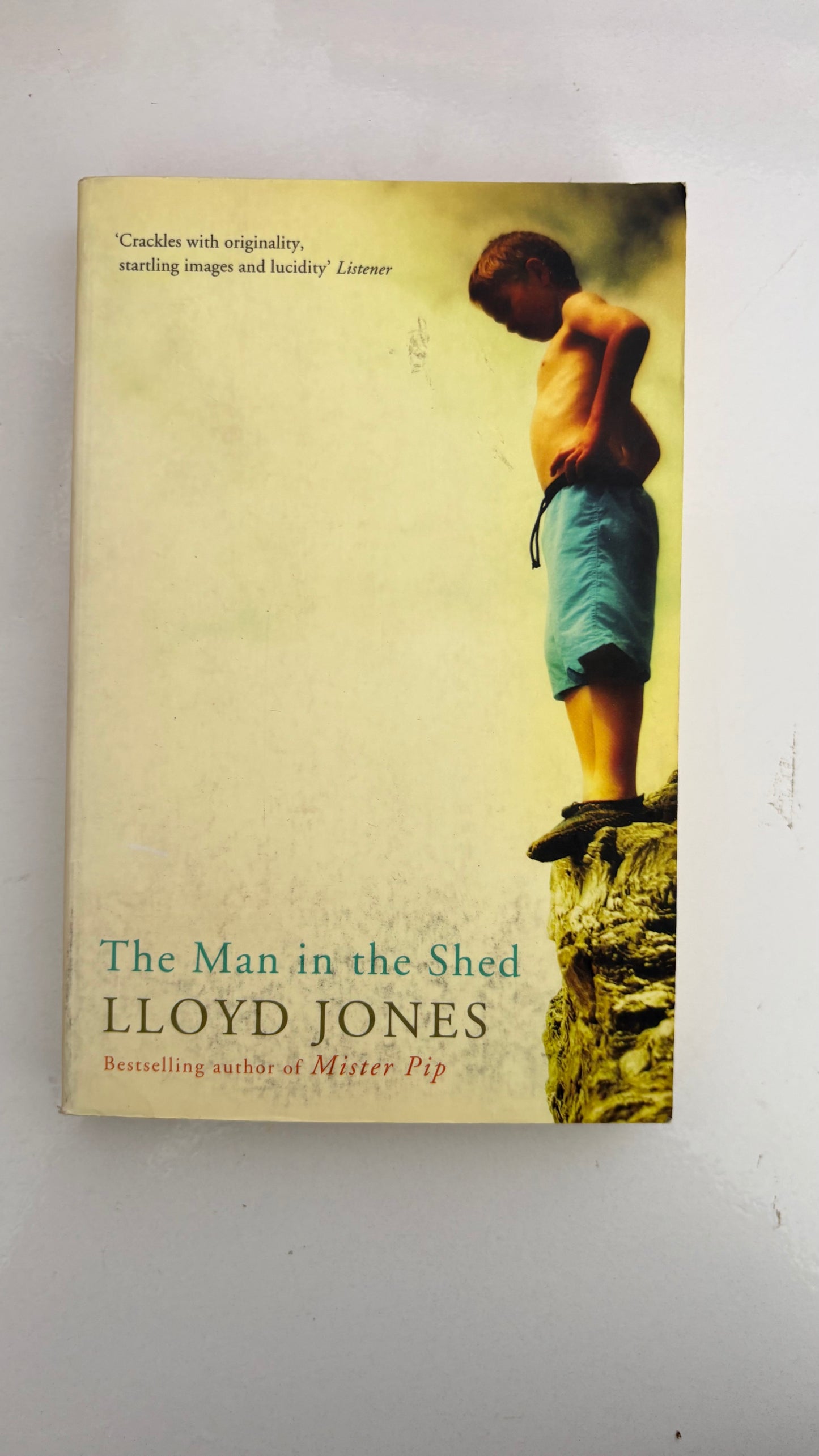The man in the shed by Llyod Jones (Paperback)