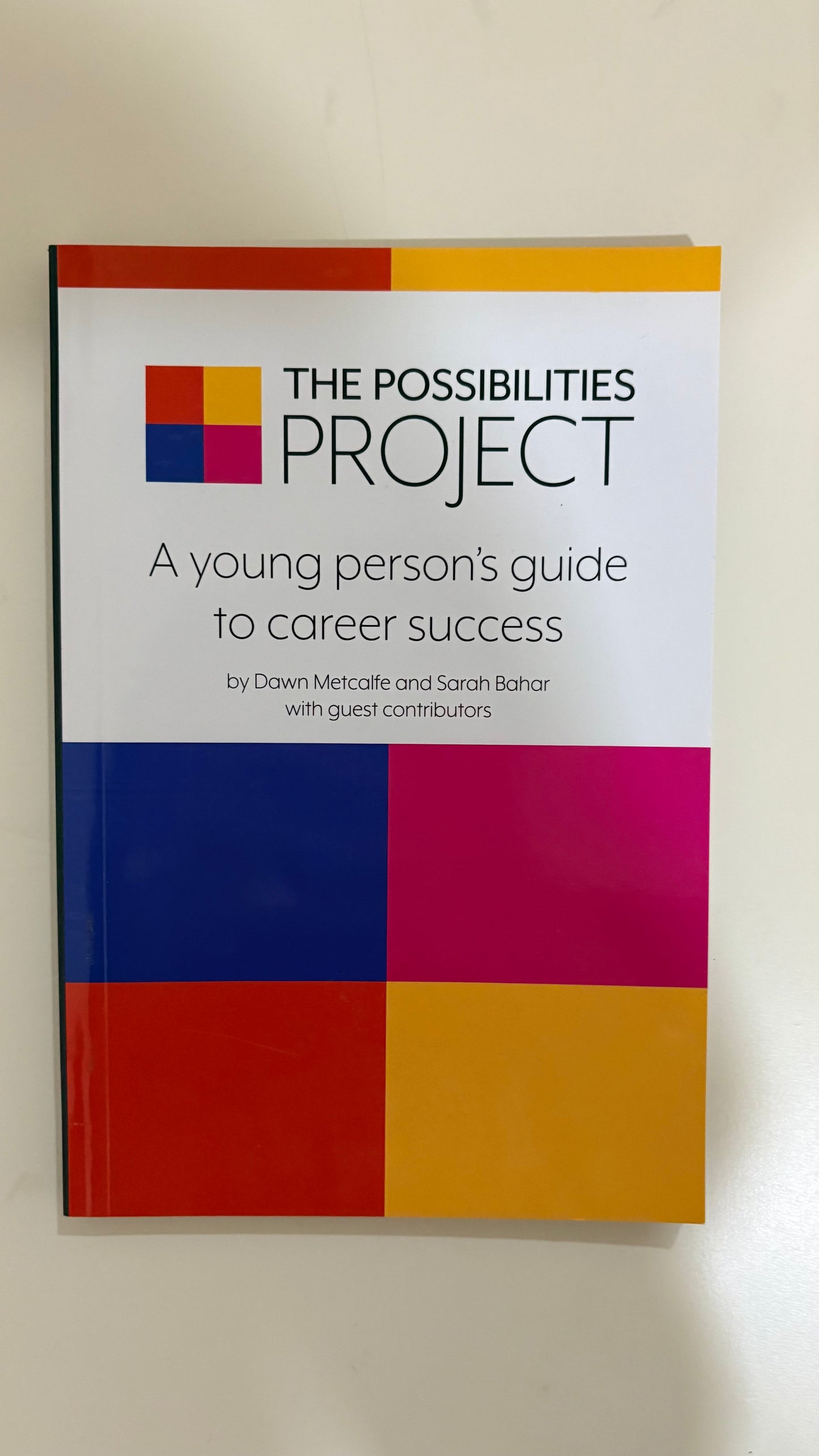 The possibilities project : A young persons guide to career success by Dawn Metcalfe (Paperback)