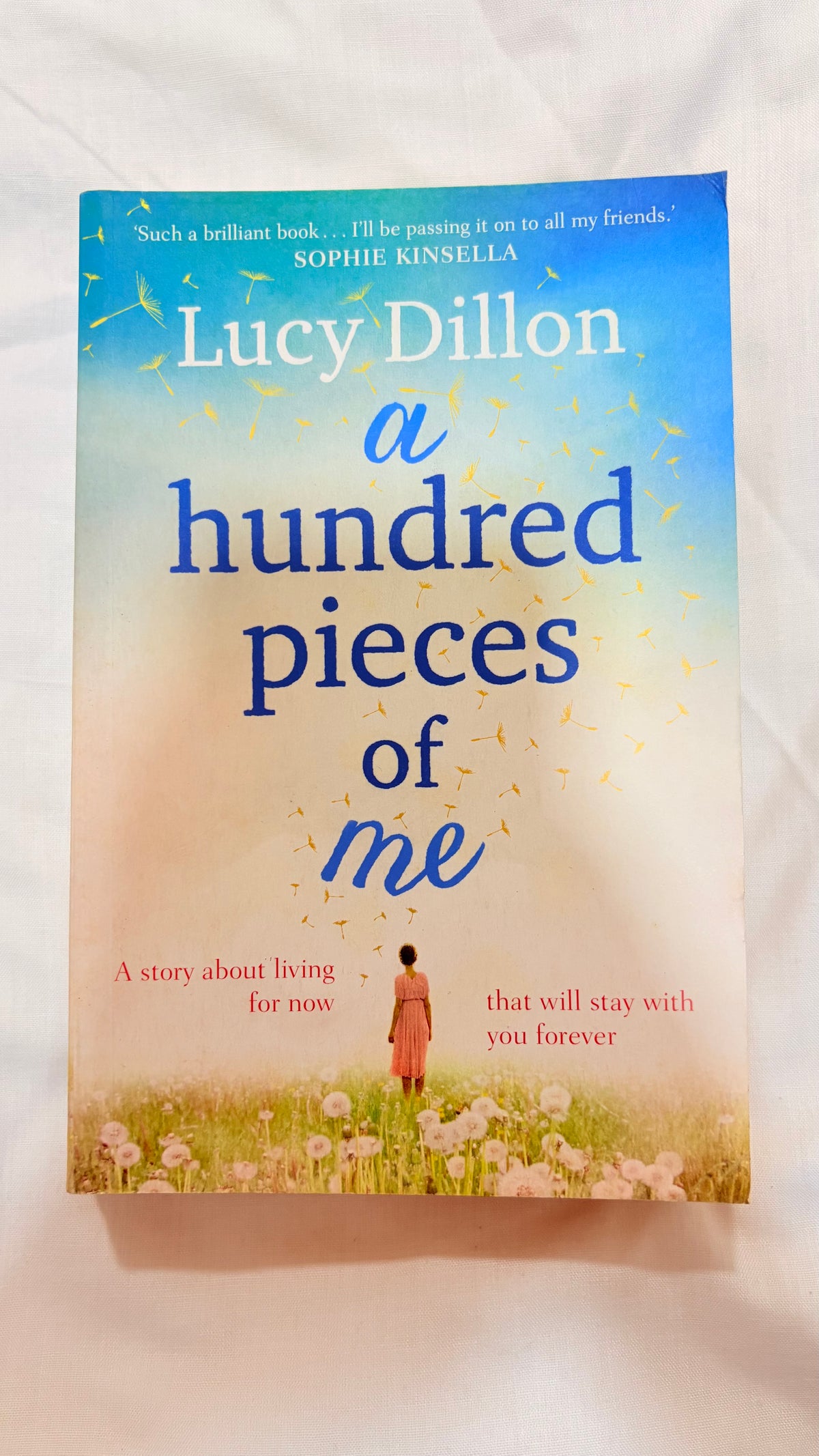 A hundred pieces of me by Lucy Dillon (Paperback)