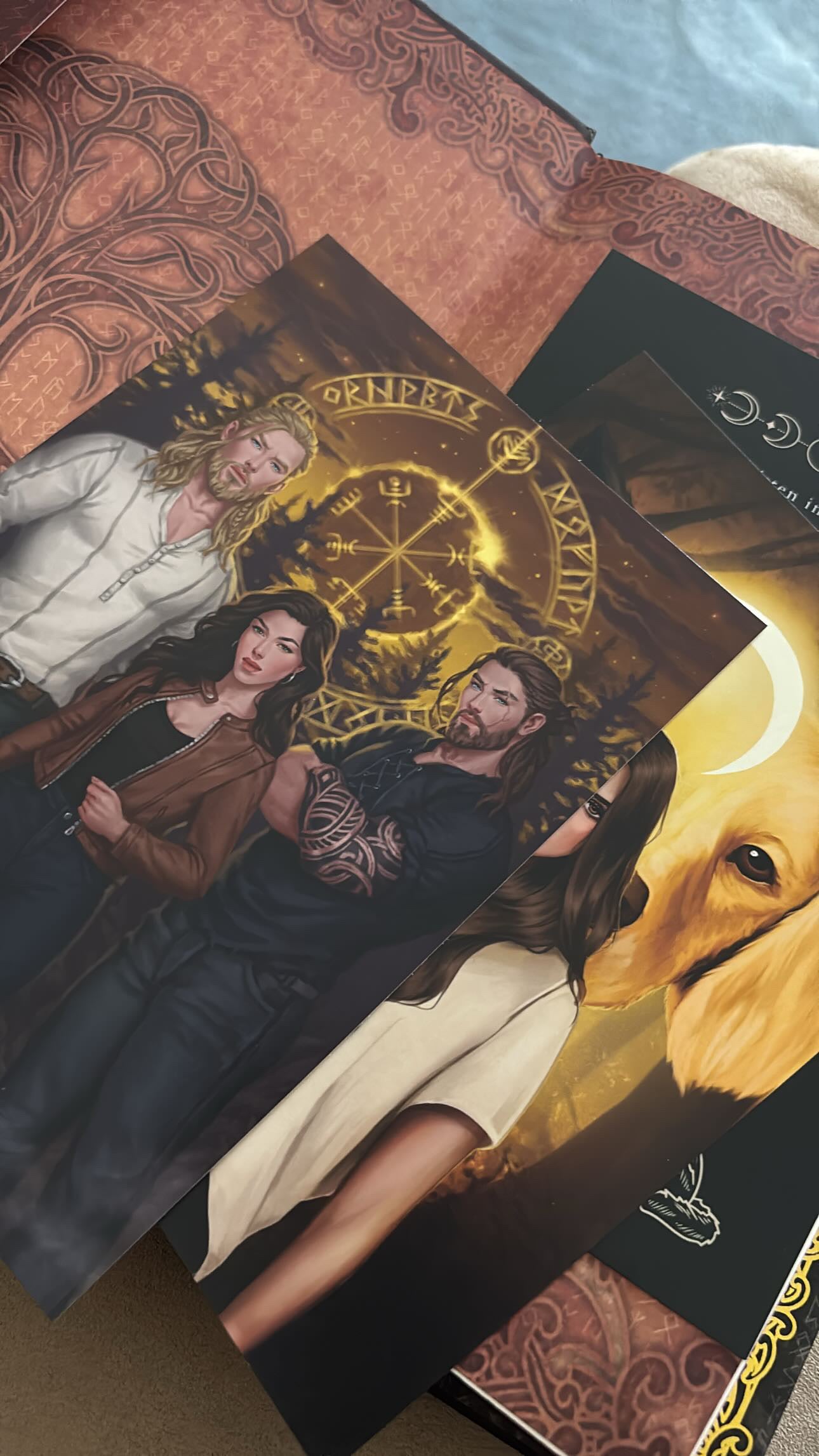 Arcane Society: The Golden Wolf Set by Shannon Mayer (Hardcover)