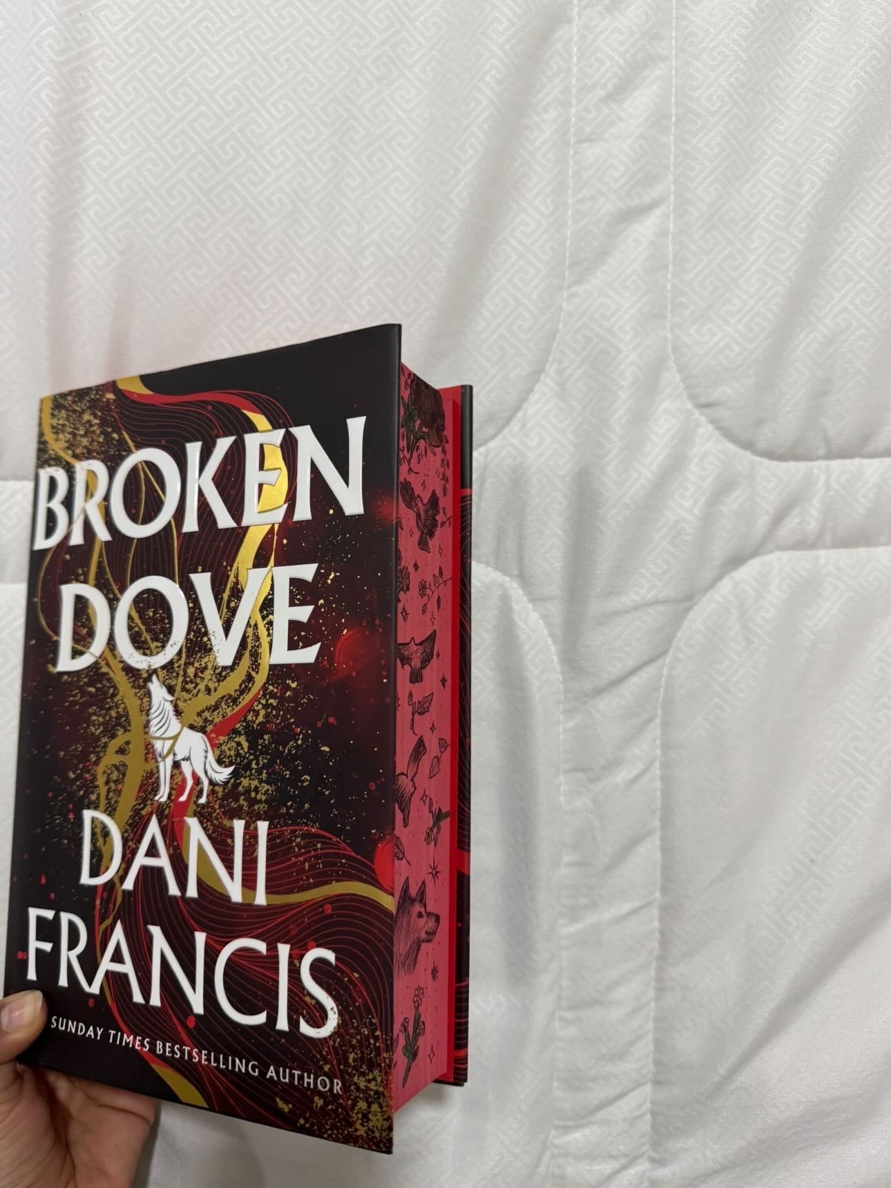Broken dove by Dani Frances (Hardcover)