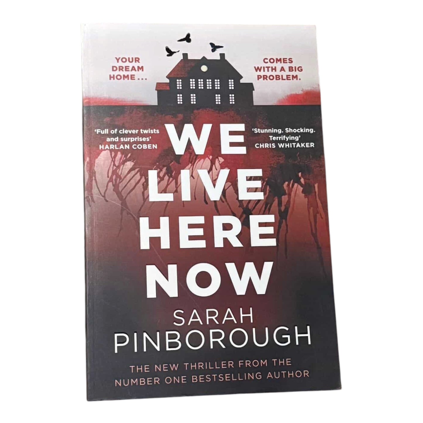 We live here now by Sarah Pinborough (Hardcover)