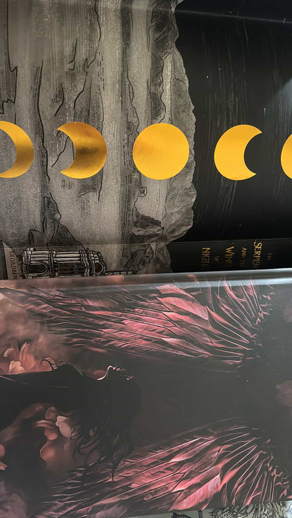 The bookish box : The Serpent and The Wings Of Night Trilogy  (Hardcover)