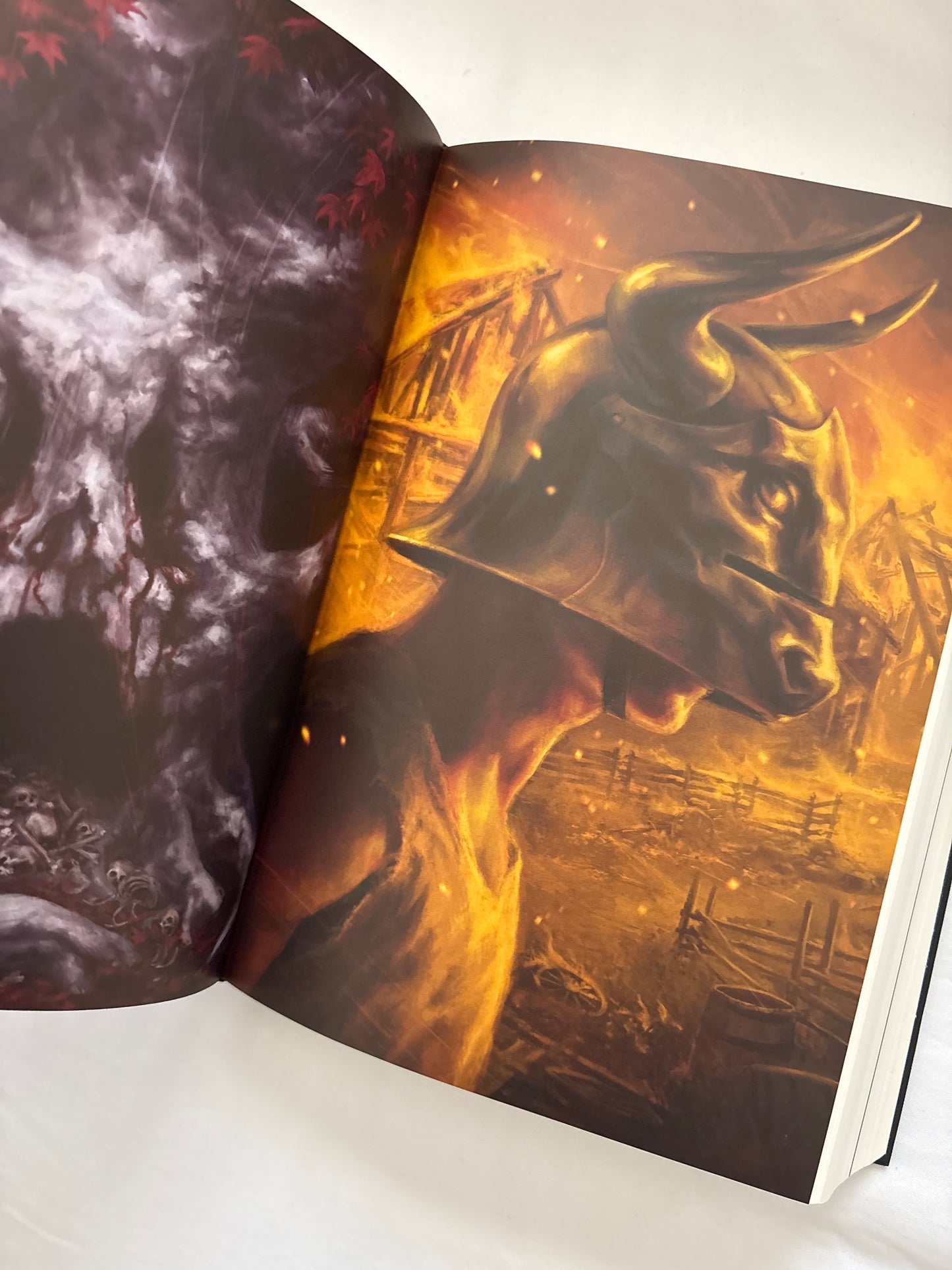 The illustrated edition : A clash of kings by George R.R. Martin (Hardcover)