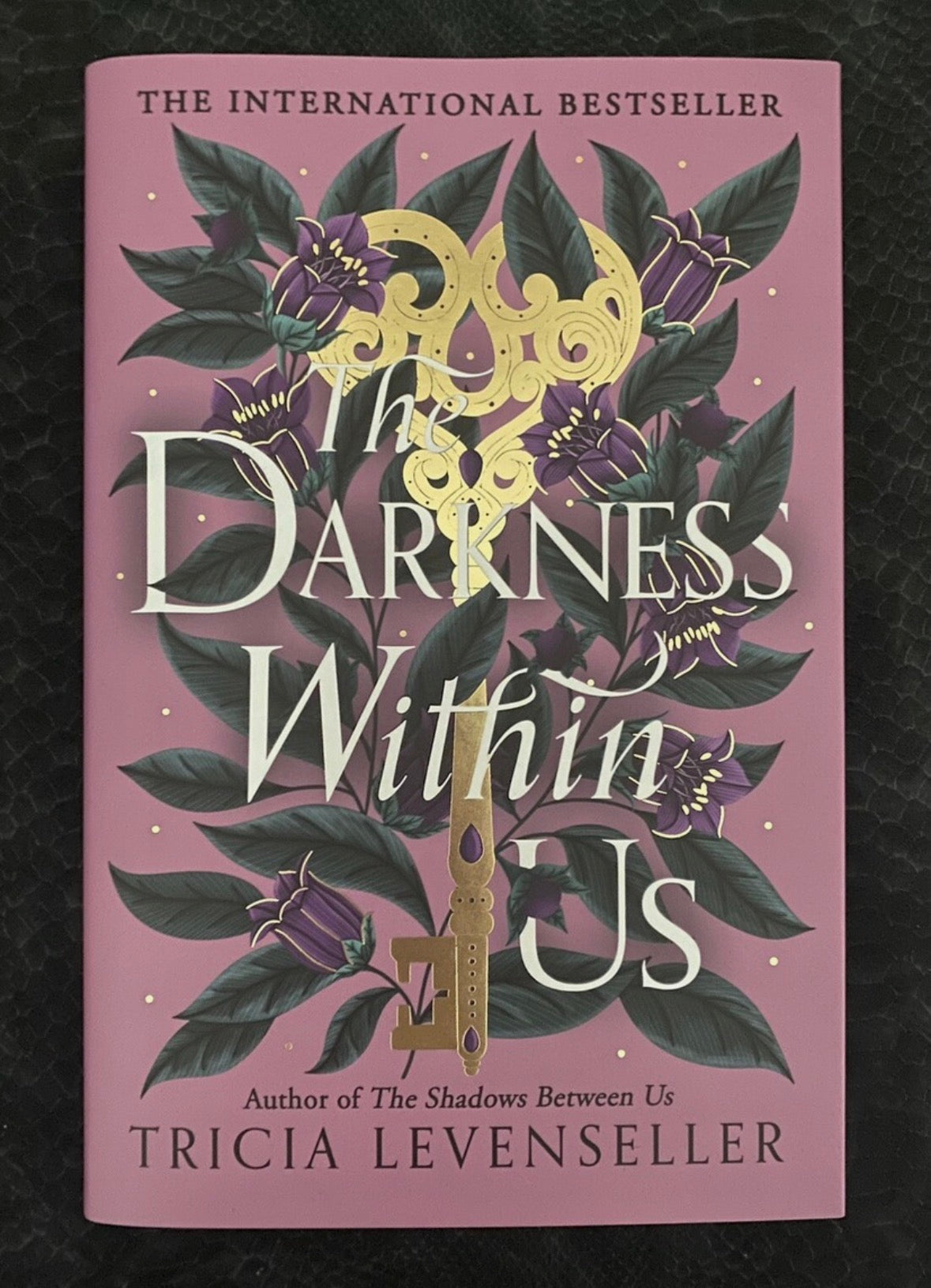 Fairyloot: Darkness within us by Tricia Levenseller (Hardcover)