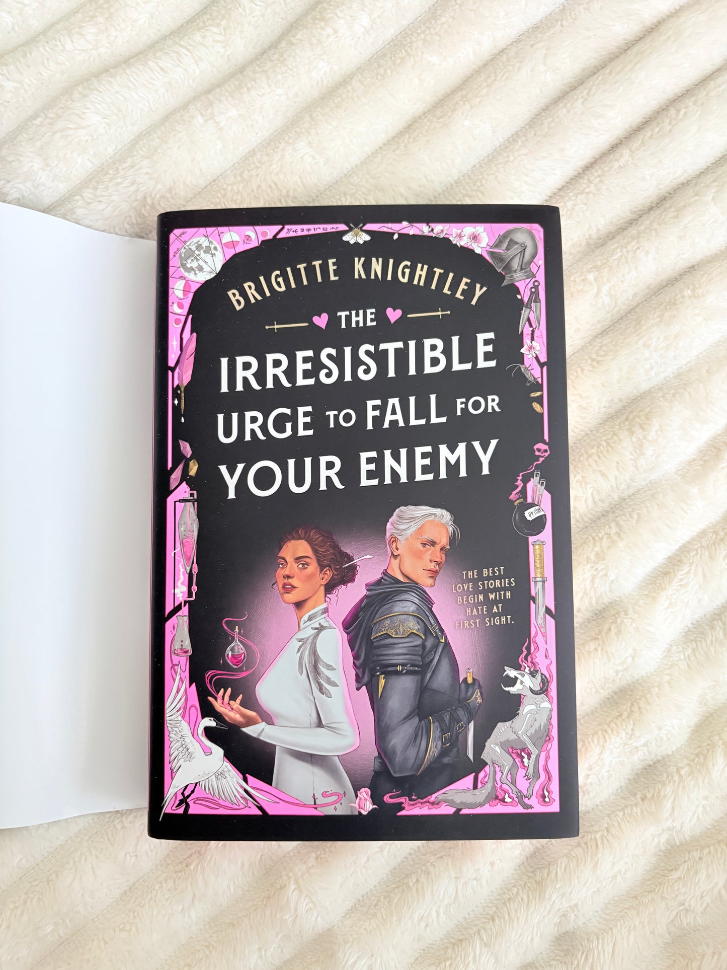 Fox and Wit : The Irresistible Urge To Fall For Your Enemy by Brigitte Knightley (Hardcover)