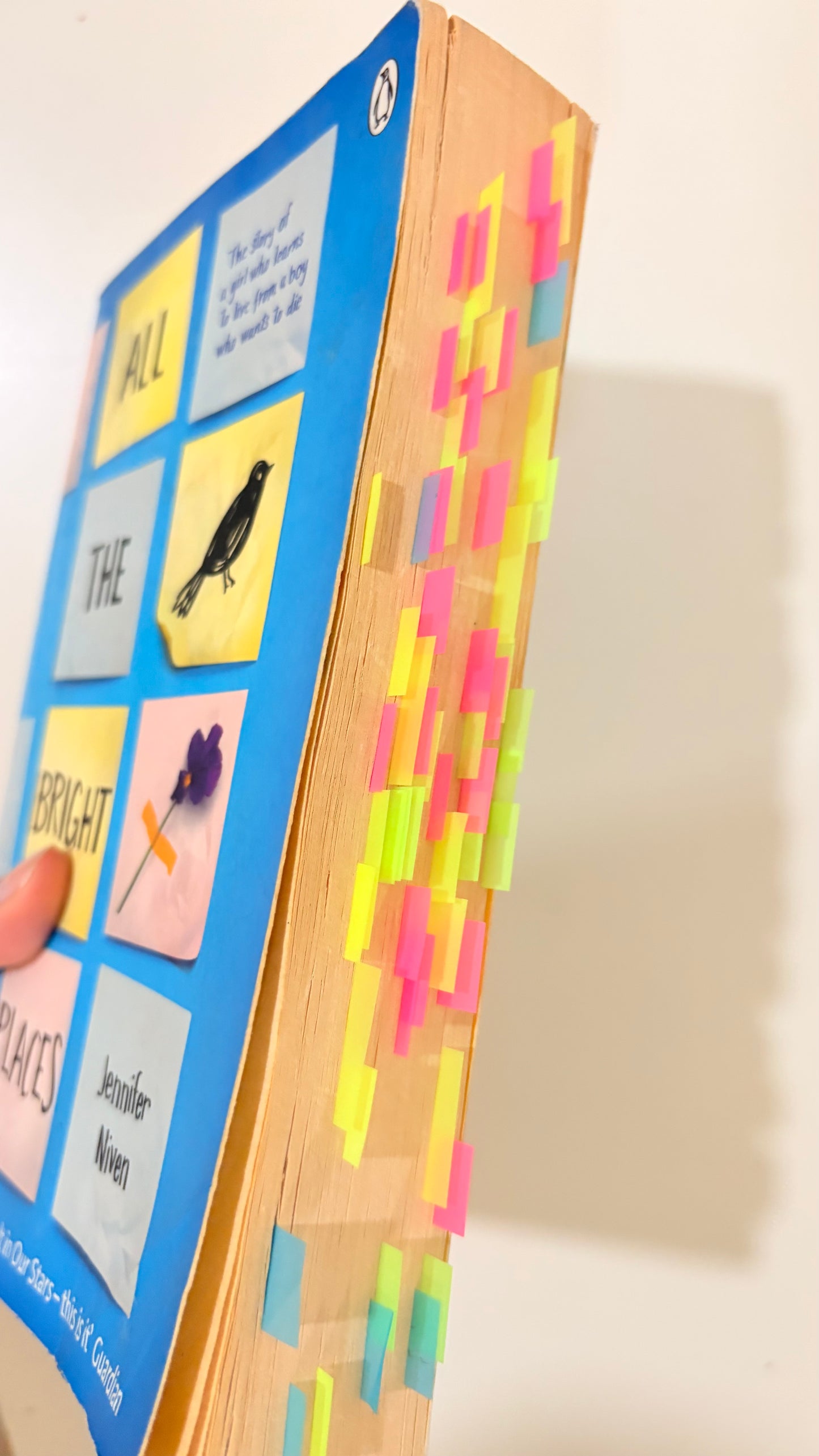 All the bright places by Jennifer Niven (Paperback)