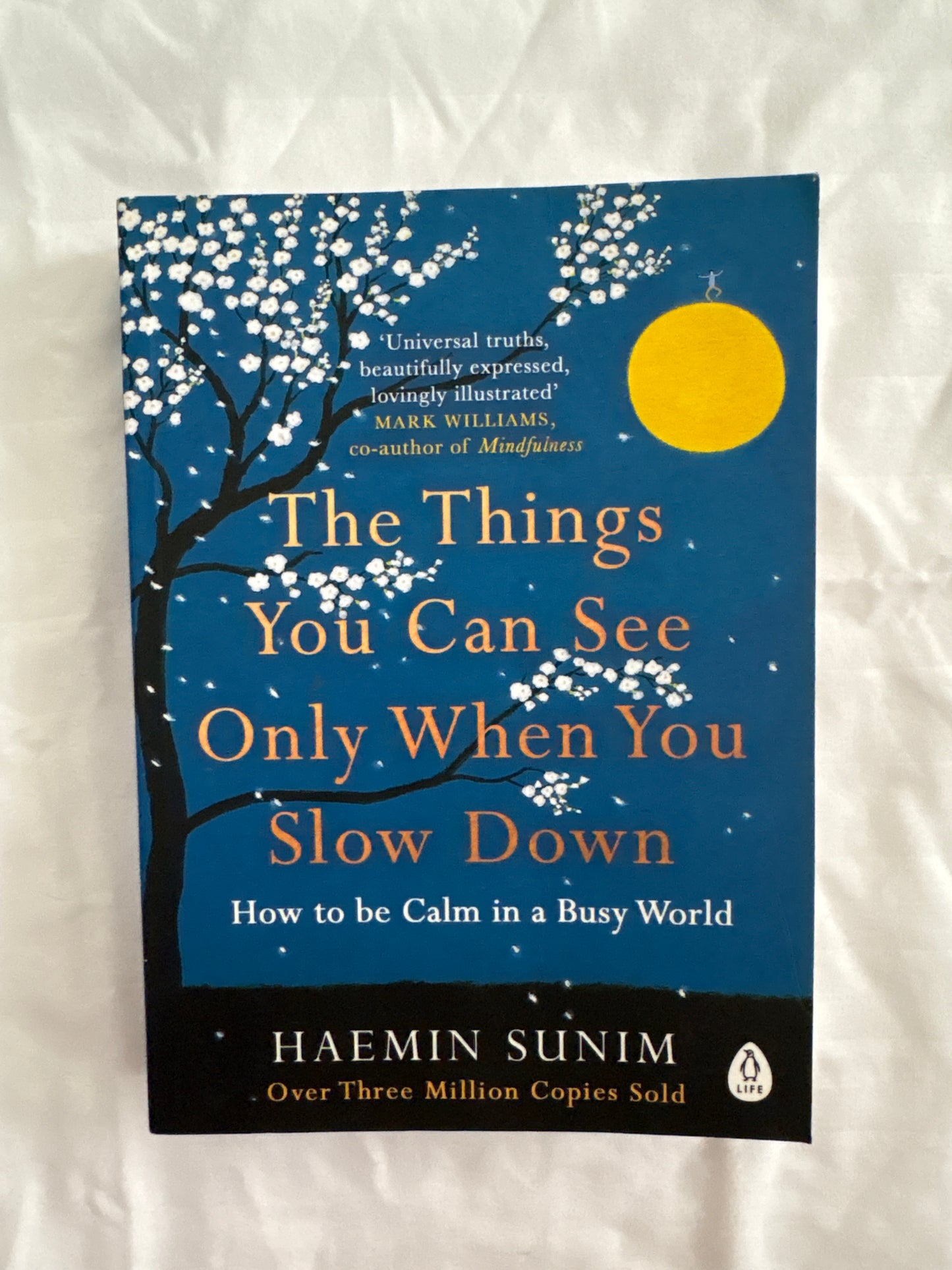 The things you can see only when you slow down By Haemin Sunim (Paperback)
