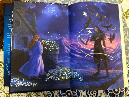 Fairyloot: king of ravens by Clare Sager (Hardcover)