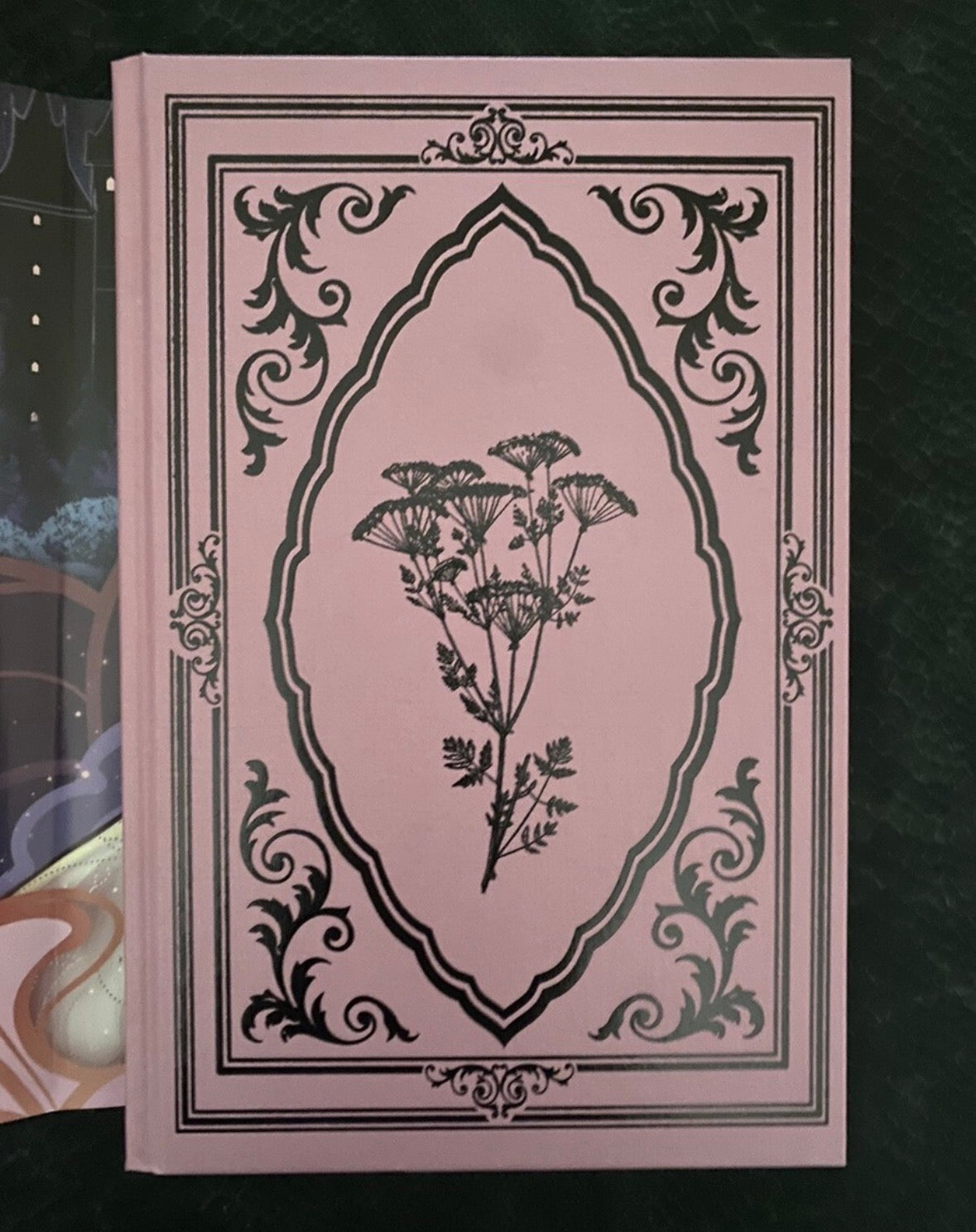 Fairyloot: Darkness within us by Tricia Levenseller (Hardcover)